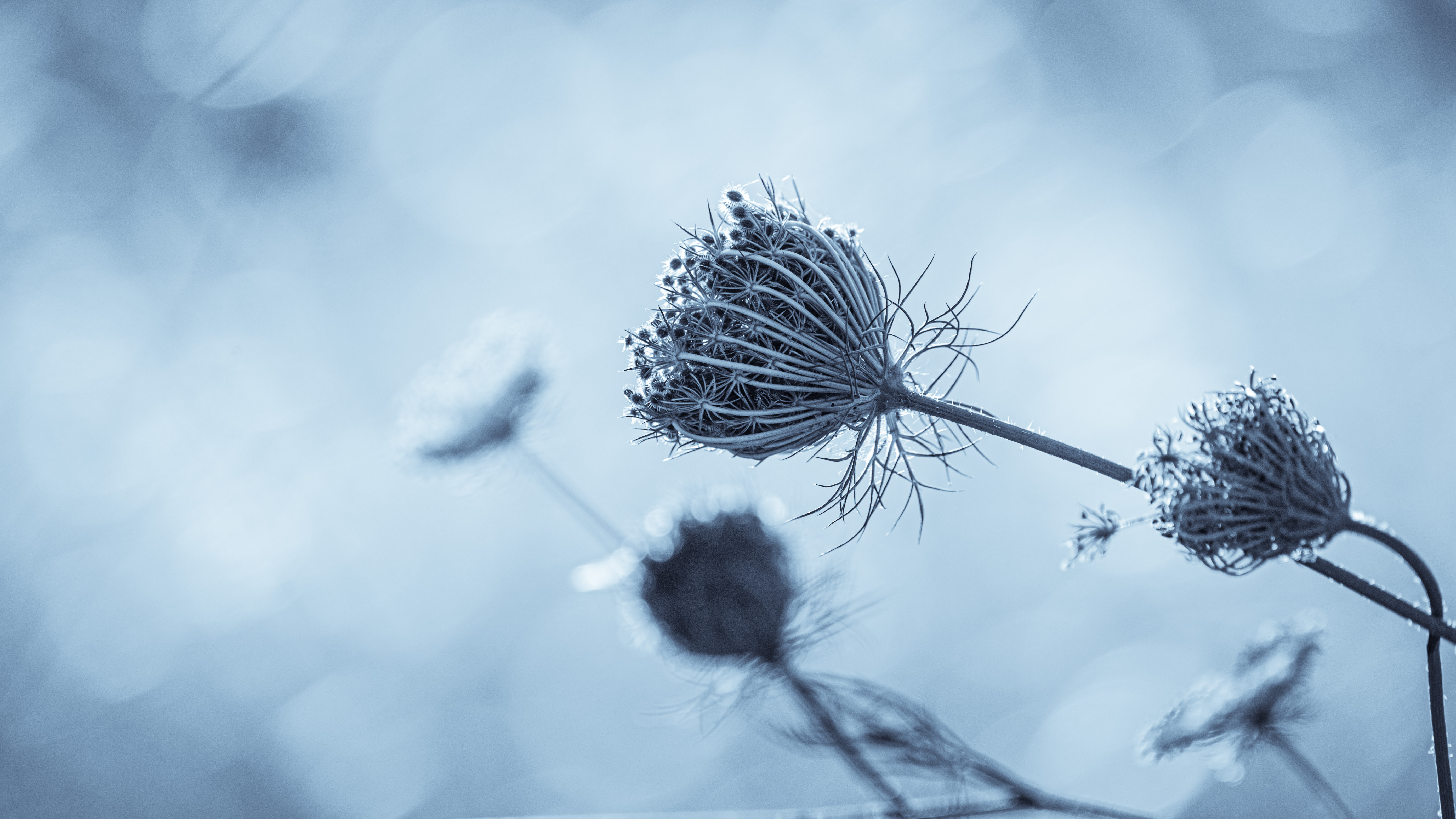 Birget Strahl on Unsplash