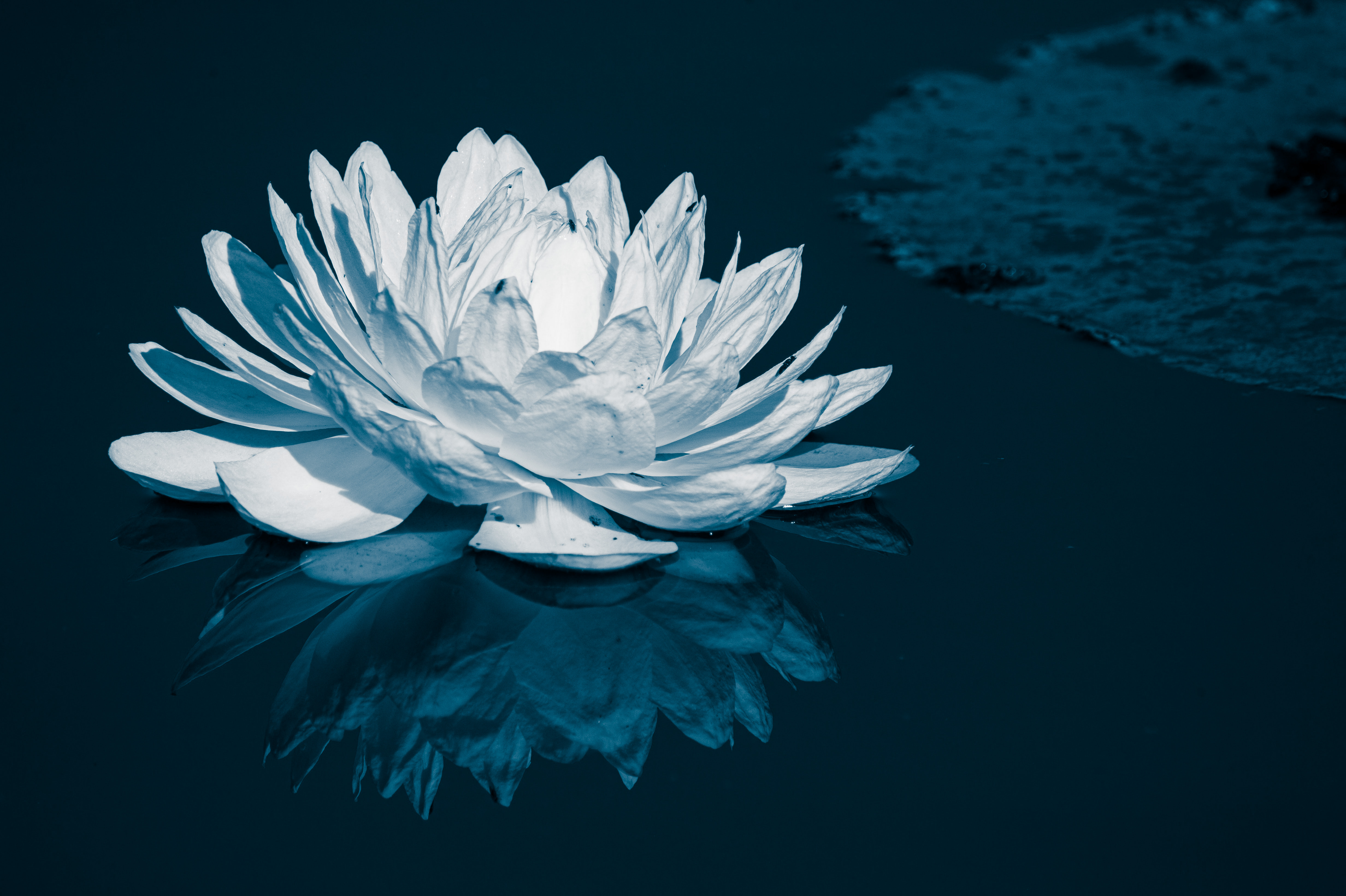 Birget Strahl on Unsplash