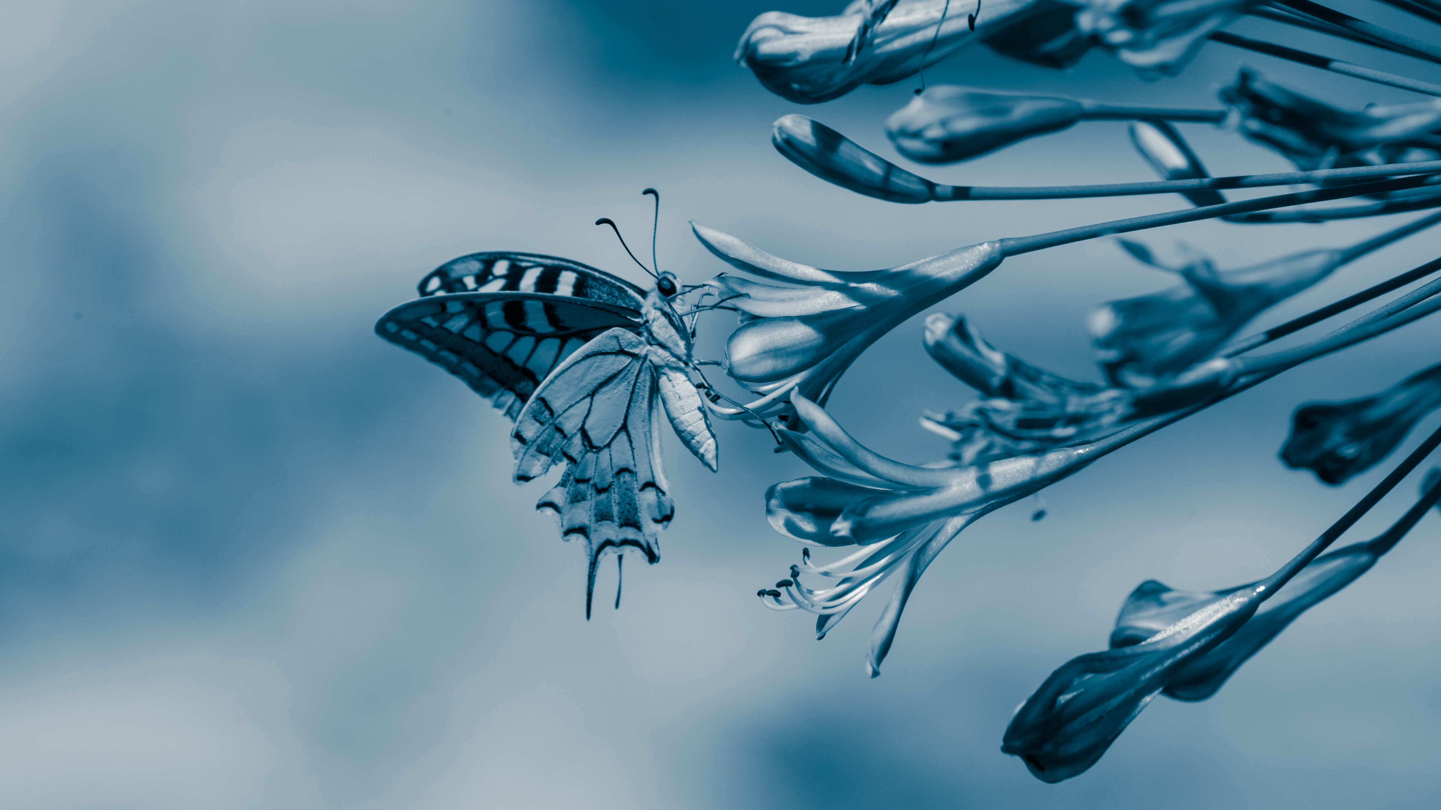 Birget Strahl on Unsplash