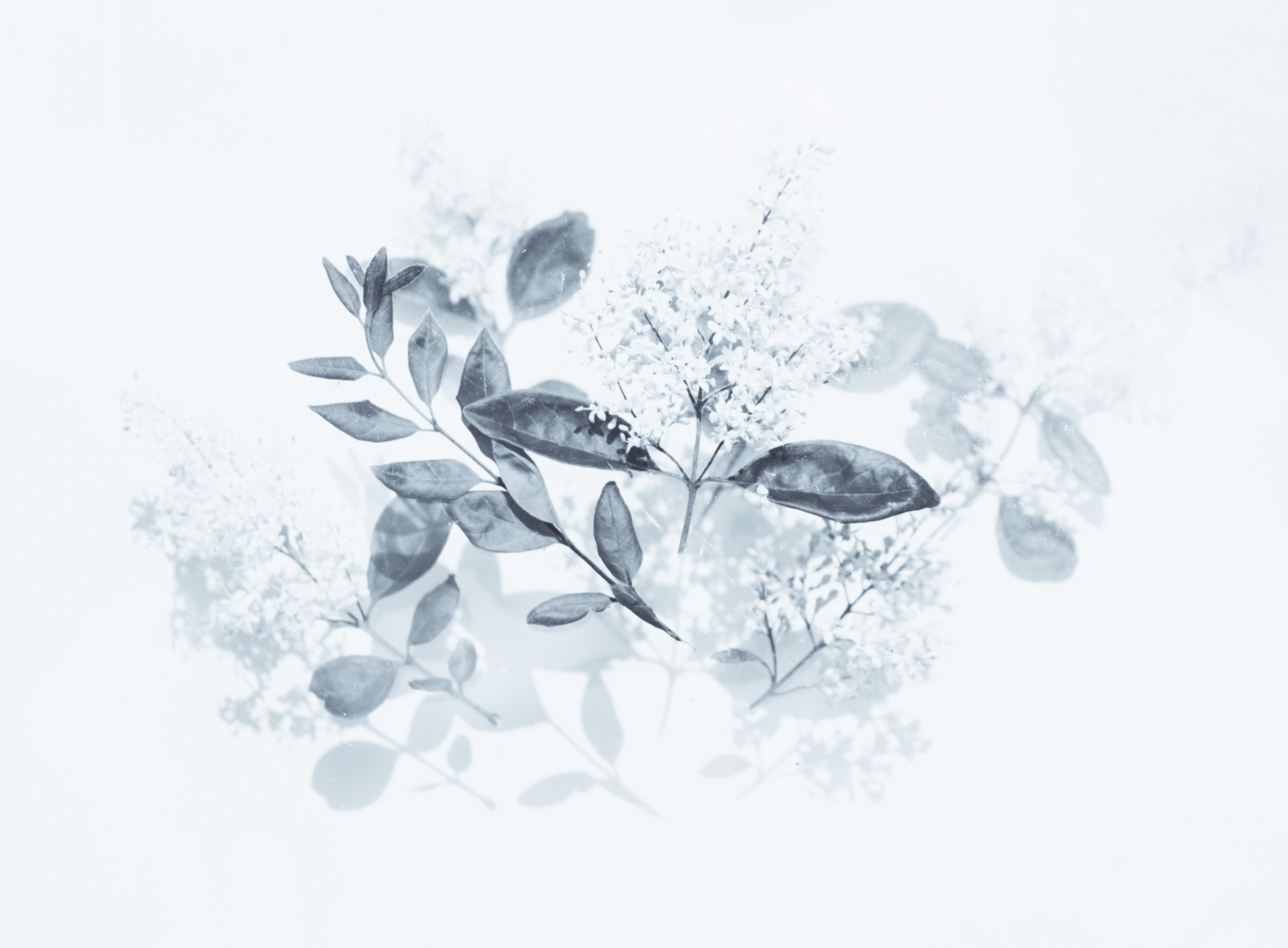 Evie Shaffer on Unsplash