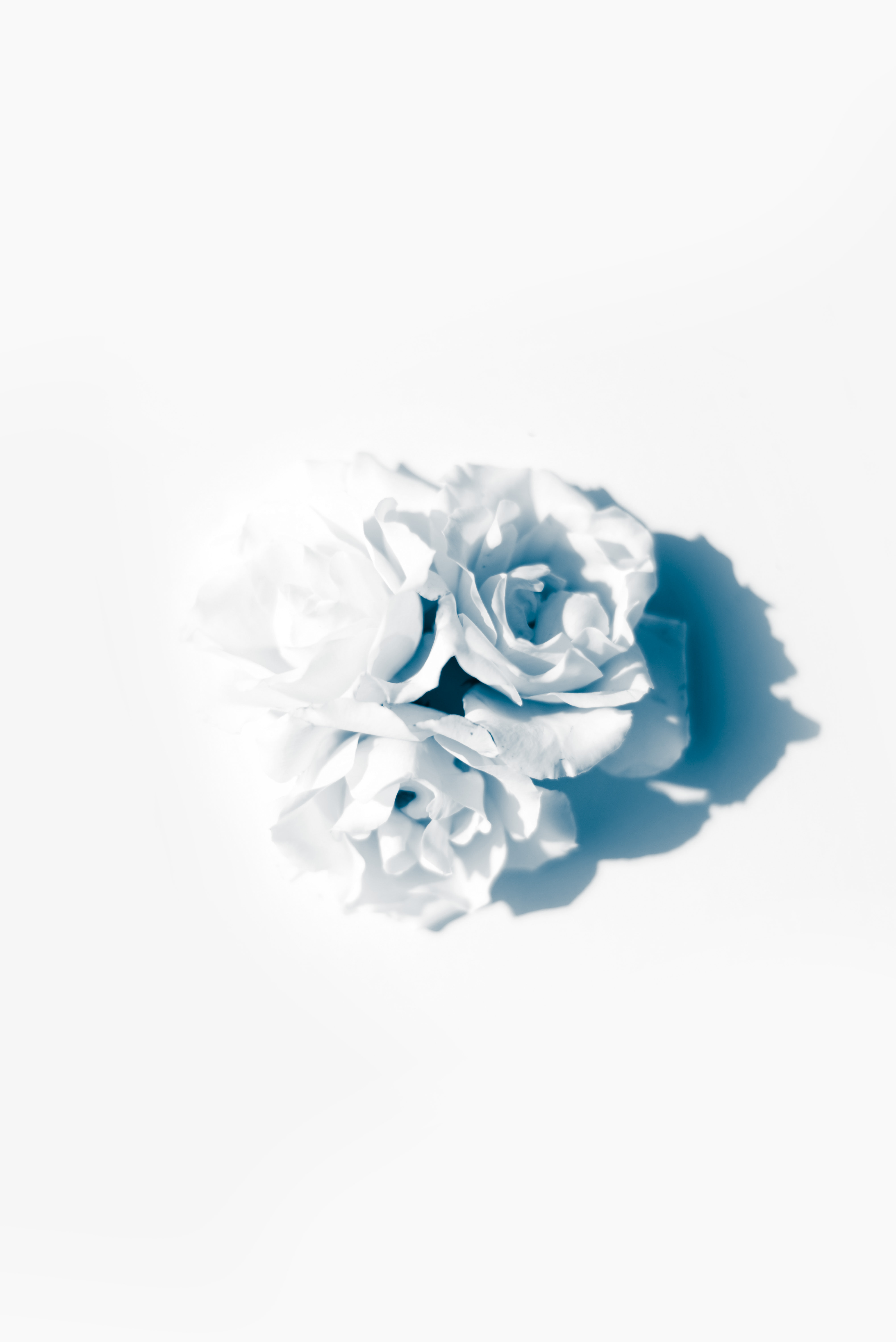 Evie Shaffer on Unsplash