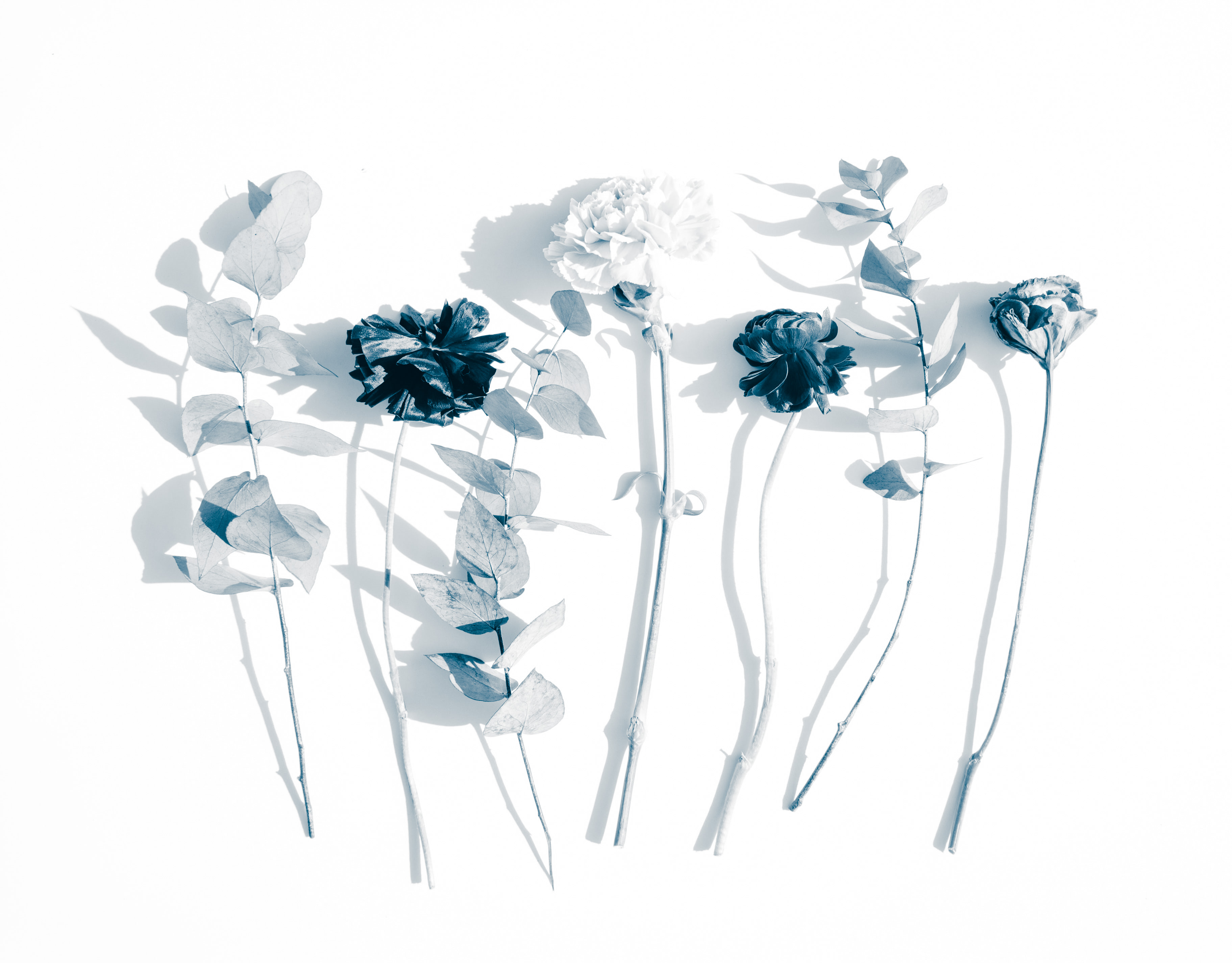 Evie Shaffer on Unsplash