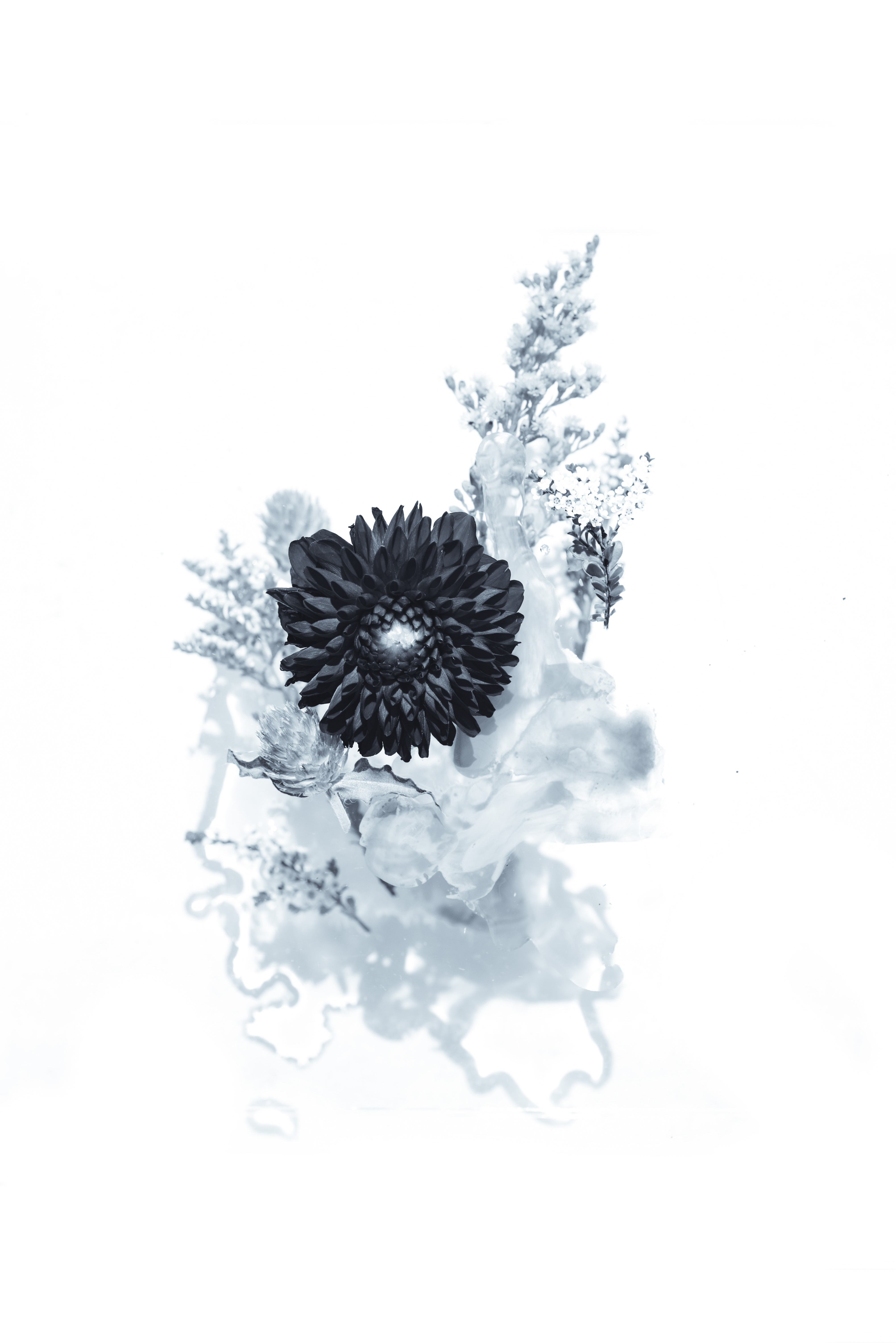 Evie Shaffer on Unsplash