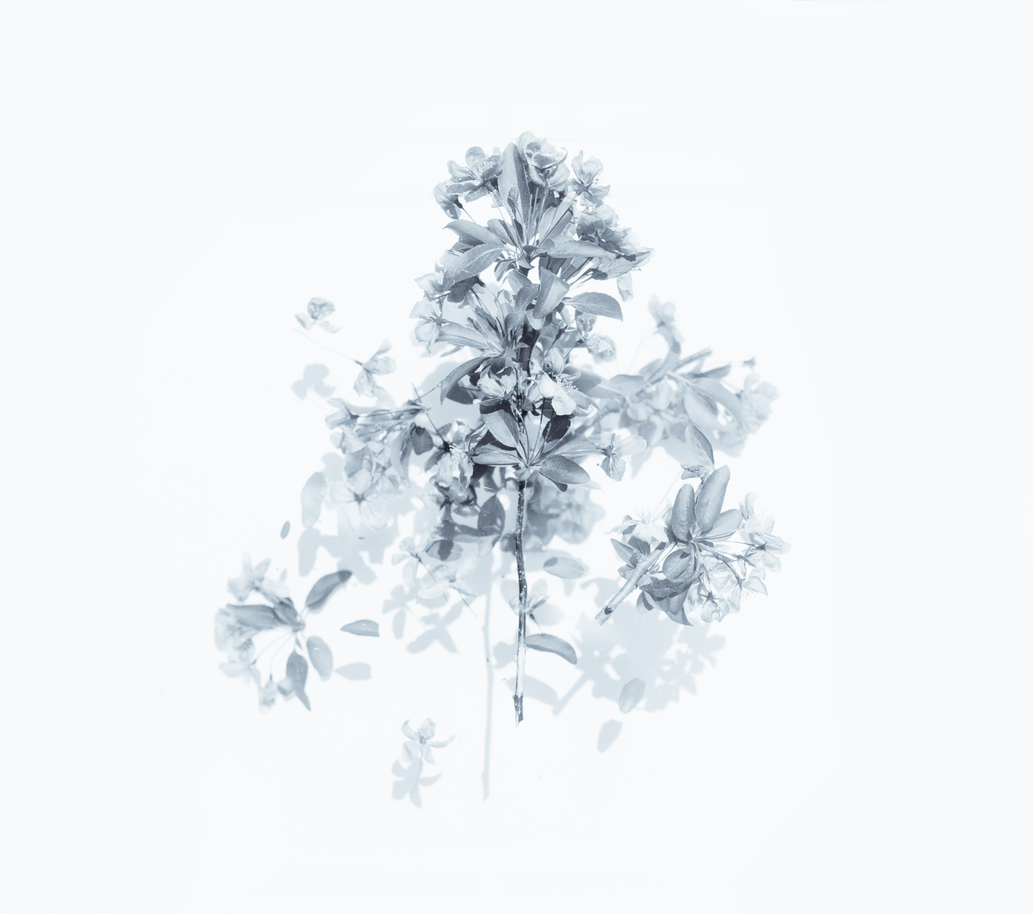 Evie Shaffer on Unsplash