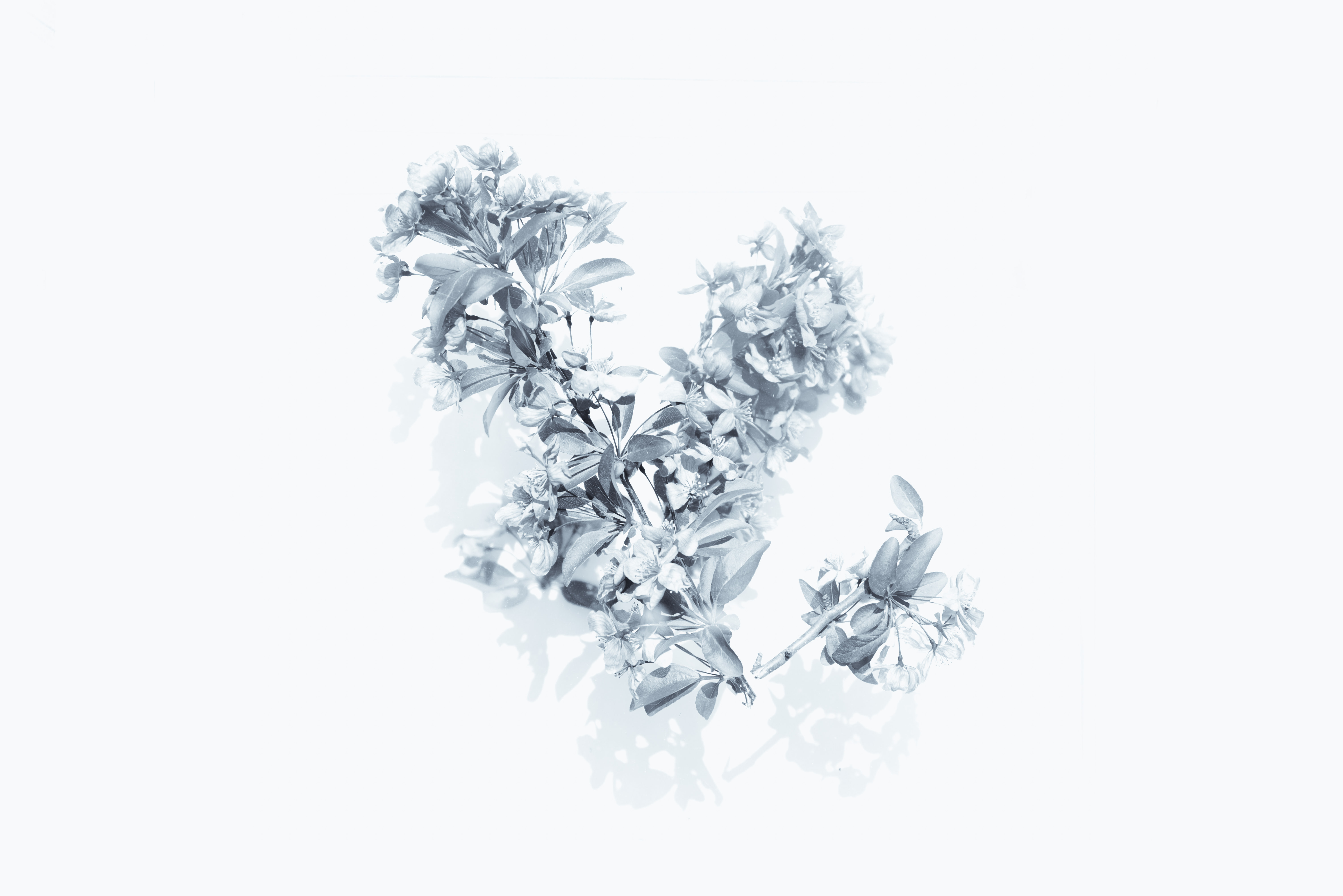 Evie Shaffer on Unsplash